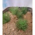 1/35 - 1/16 Plastic Plants - Desert Bushes Dark Green (5 small & 5 large)