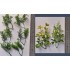 1/35 - 1/16 Plastic Plants - Jungle Plant Set #1 (10pcs, 2 types)