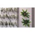 1/35 - 1/16 Plastic Plants - Jungle Plant Set #2 (10pcs, 2 types)