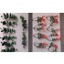 1/35 - 1/16 Plastic Plants - Jungle Plant Set #5 (10pcs, 2 types)