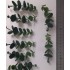 1/35 - 1/16 Plastic Plants - Jungle Plant Set #5 (10pcs, 2 types)