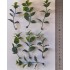 1/35 - 1/16 Plastic Plants - Jungle Plant Set #6 (15pcs, 2 types)