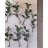 1/35 - 1/16 Plastic Plants - Jungle Plant Set #6 (15pcs, 2 types)