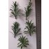 1/35 - 1/16 Plastic Plants - Large Jungle Plant #1 (5pcs)