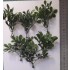 1/35 - 1/16 Plastic Plants - Large Jungle Plant #2 (5pcs)