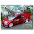 Decals for 1/24 Peugeot 307 WRC Gardemeister Monte Carlo 2006 for Tamiya #24285