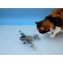 1/48 Curtiss H-75O Hawk