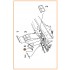 1/72 Mitsubishi A5M Claude (Early version) Vacuum Formed Canopy
