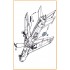 1/72 Mikoyan-Gurevich MiG-19 Air Brakes for Clear Prop kits