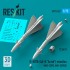 1/72 R-40TD (AA-6 Acrid) Missiles (2pcs) for MiG-25PD, MiG-25PDS