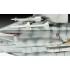 1/100 Grumman F-14D Super Tomcat