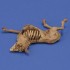 1/35 Donkey Carcass