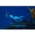 1/35 Snorkel Diver (1 Female Figure)