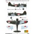 1/48 Japanese/Indonesian Manshu Ki-79 A Shimbu-tai