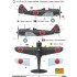 1/48 Japanese/Indonesian Manshu Ki-79 A Shimbu-tai
