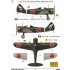 1/48 Japanese/Indonesian Manshu Ki-79 A Shimbu-tai