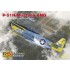 1/72 P-51H Mustang, ANG