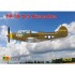 1/72 US/USSR TP-39 Q-5 Airacobra Trainer
