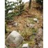 1/35 Hurtgenwald Scenic Base