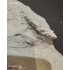 1/35 Hurtgenwald Scenic Base