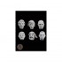 75mm Scale Heads set (6pcs, White metal casting)