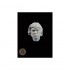 75mm Scale Heads set (6pcs, White metal casting)