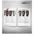 Easy Painting Processes with Scalecolor's Paints (English, 144pages, A4)