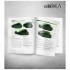 Easy Painting Processes with Scalecolor's Paints (English, 144pages, A4)