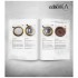 Easy Painting Processes with Scalecolor's Paints (English, 144pages, A4)