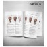 Easy Painting Processes with Scalecolor's Paints (English, 144pages, A4)