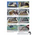 Dinosaur Modelling - Bringing the Past Back to Life (Over 96 Pages, English)