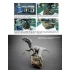 Dinosaur Modelling - Bringing the Past Back to Life (Over 96 Pages, English)