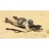 1/35 Italian Guastatori in North Africa