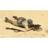 1/35 Italian Guastatori in North Africa