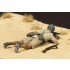 1/35 Italian Guastatori in North Africa