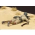 1/35 Italian Guastatori in North Africa