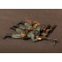 1/35 German Machine Gunner MG 34 Team 1939-42 (2 figures)