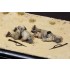1/35 Wounded and Killed Italian Guastatori in North Africa (2 figures)