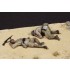 1/35 Wounded and Killed Italian Guastatori in North Africa (2 figures)