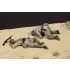 1/35 Wounded and Killed Italian Guastatori in North Africa (2 figures)