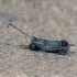 1/48 Bomb Elevator