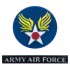 200mm WWII US Army Air Force Pilot Bust
