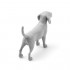 1/16 Beagles