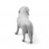 1/16 Beagles