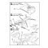 1/24 McLaren Type-M F1 Photo-Etched Upgrade set for Fujimi 125732 kit
