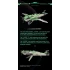 1/48 Suisei-Shipborne Bomber
