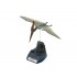 1/35 Pteranodon Dinosaur/Pterosaur
