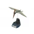 1/35 Pteranodon Dinosaur/Pterosaur