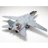 1/48 Grumman F-14D Tomcat
