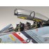 1/48 Grumman F-14D Tomcat